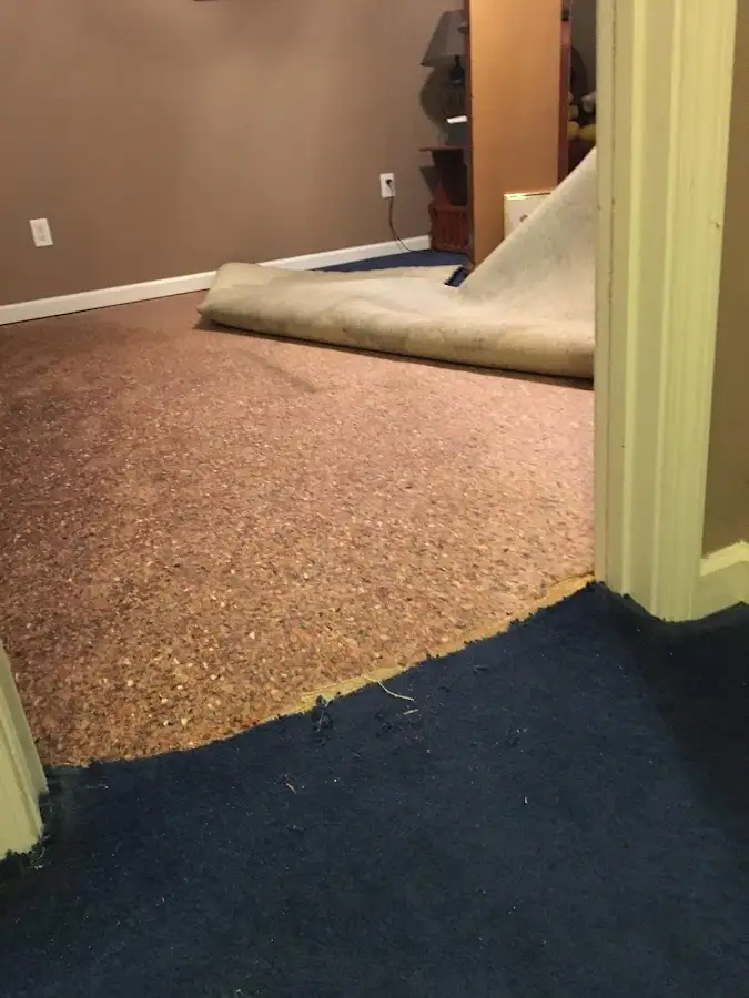 Carpet pad removal revealing water damage during Water Mitigation Services in Marblehead