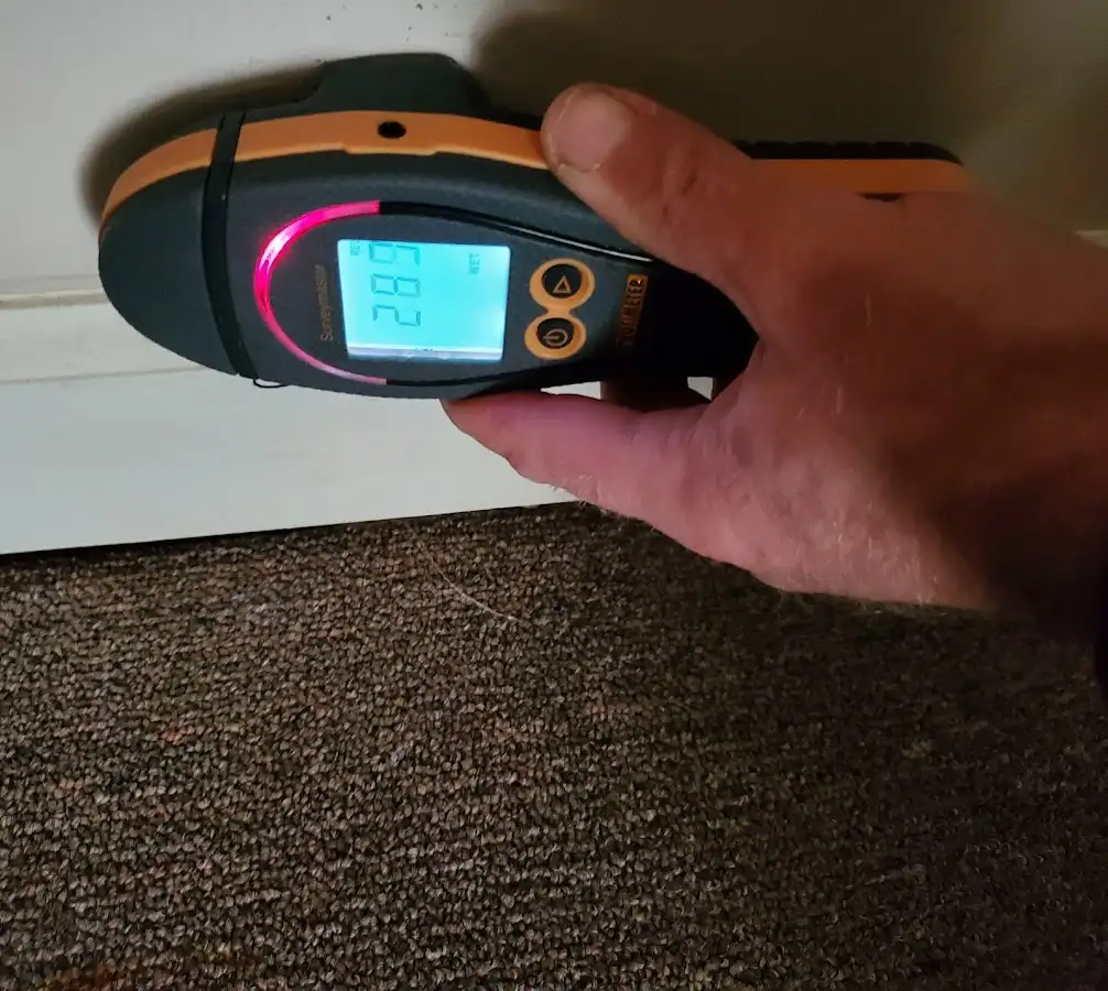 Moisture detection at baseboard during Mold Inspection & Testing in Marblehead